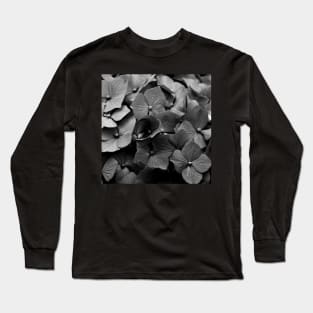 Hydrangea Long Sleeve T-Shirt